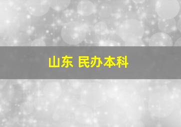 山东 民办本科